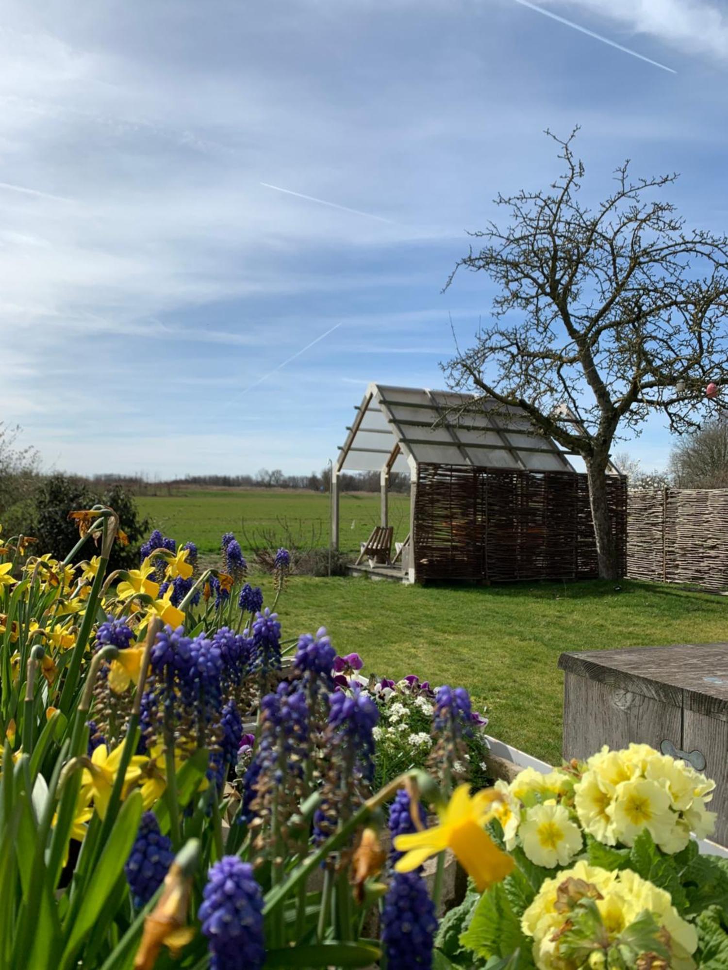 Logieslogees Bed & Breakfast Tielrode Eksteriør bilde